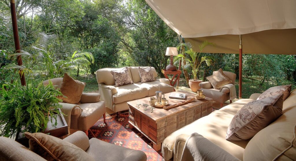 olive bush camp 3