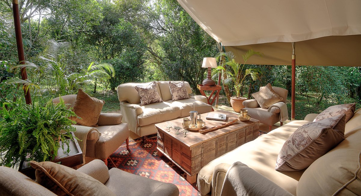 olive bush camp 3