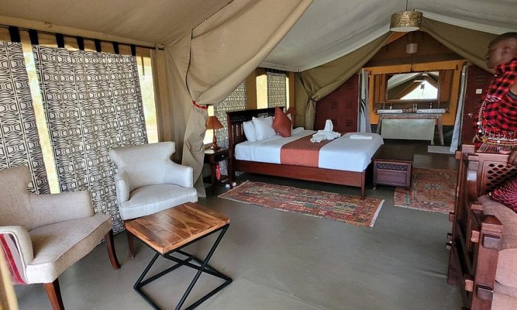 olive-bush-camp-750×450