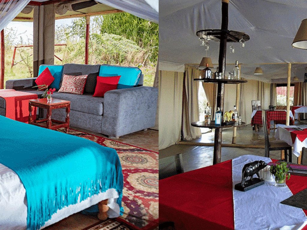 zebra-plains-mara-camp-