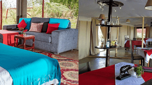 zebra-plains-mara-camp-