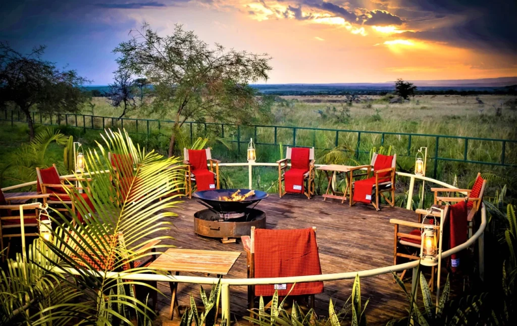 zebra plains with mara triangle safaris 2