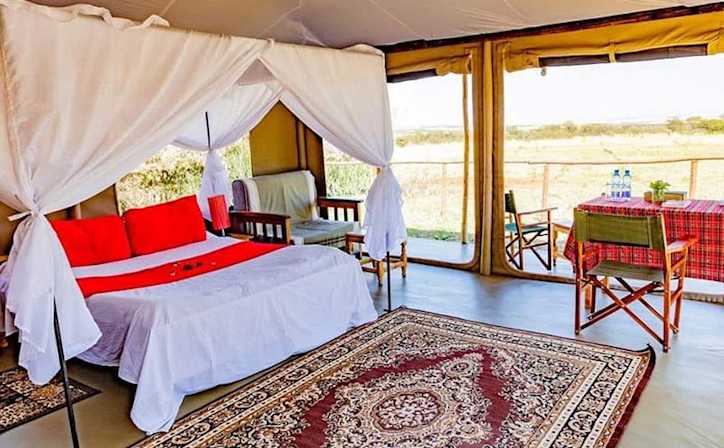 zebra plains with mara triangle safaris