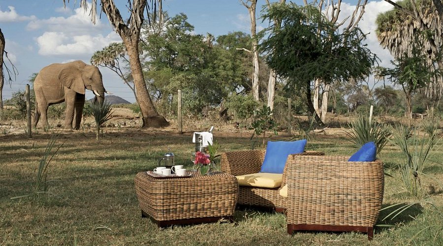 Ashnil Samburu Camp With Mara Triangle Safaris5
