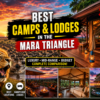 Best Camps and Lodges in the Mara Triangle (2026 Guide) Luxury, Mid-Range & Budget Safari Accommodation-Mara Triangle Safaris