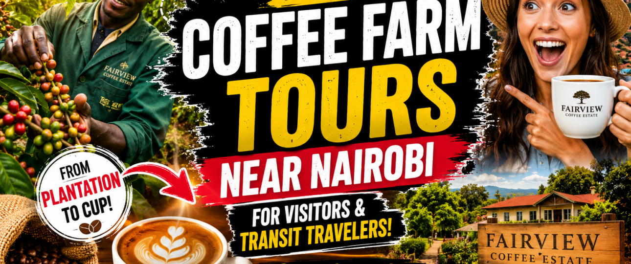Best Coffee Farm Tours Near Nairobi for Visitors and Transit Travelers (2026 Guide)-Mara Triangle Safaris