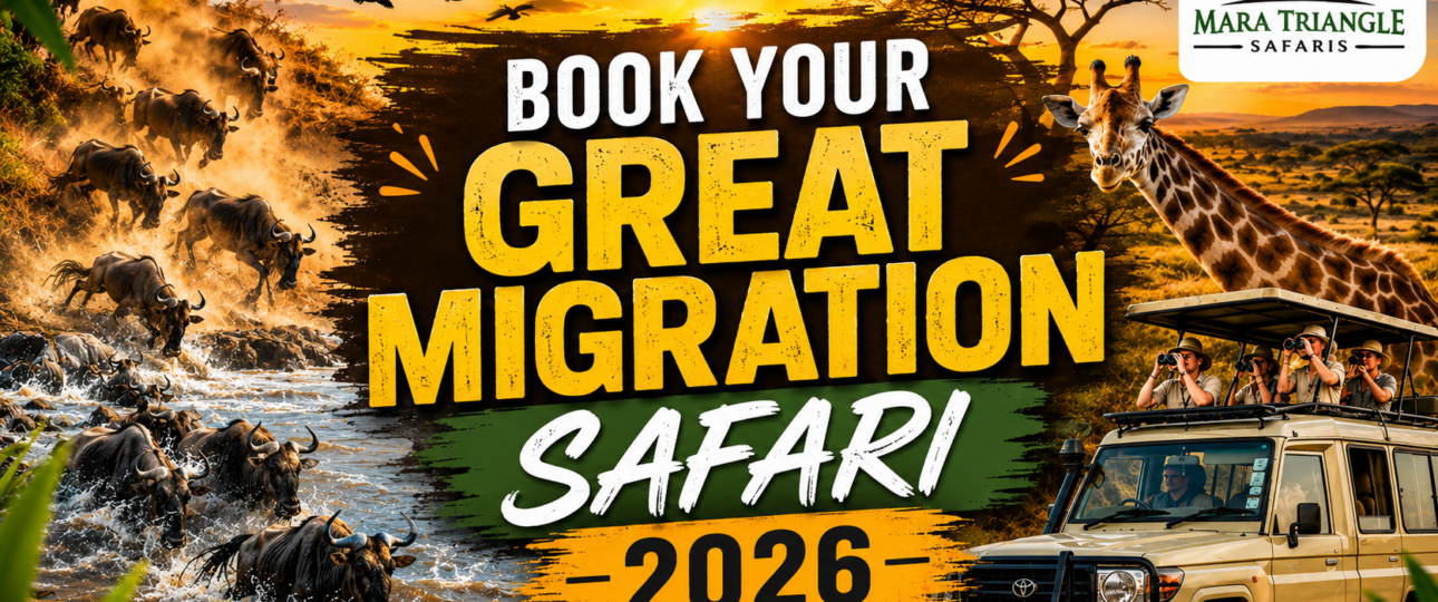 Book Your Great Migration Safari in Kenya for July–October 2026