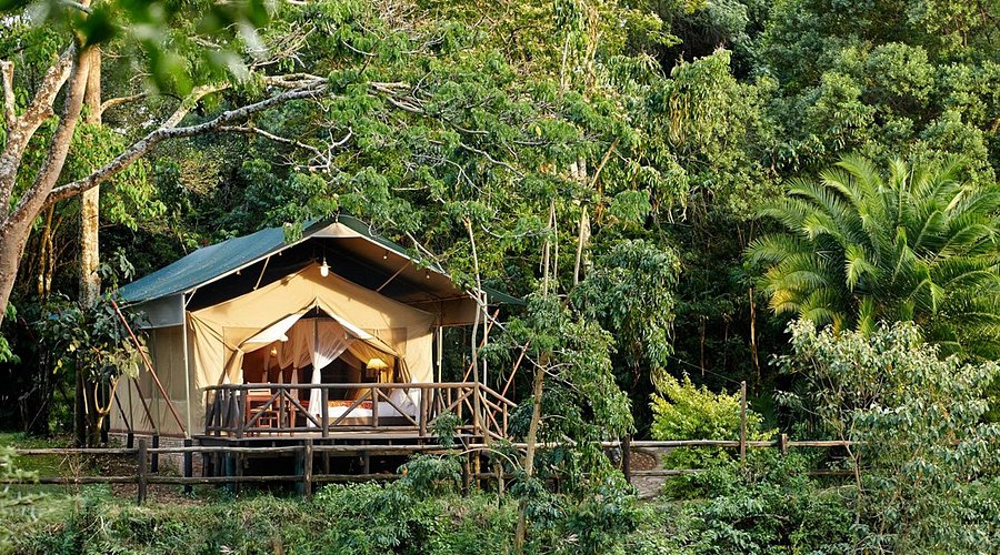 Fairmont Mara Safari Club with Mara Triangle Safaris