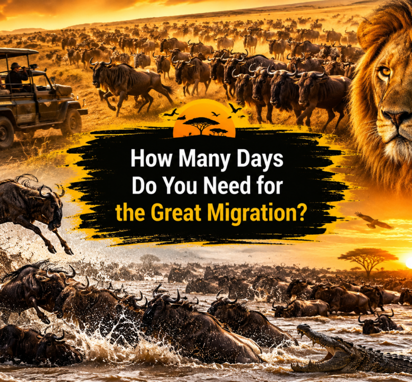 How Many Days Do You Need for the Great Migration
