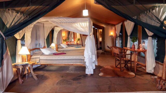 Kibo Safari Camp With Mara Triangle Safaris 2
