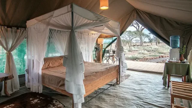 Kibo Safari Camp With Mara Triangle Safaris 3