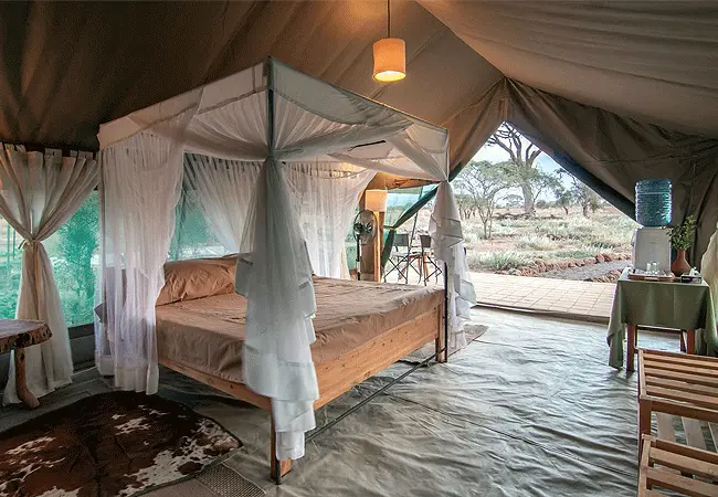 Kibo Safari Camp With Mara Triangle Safaris 3