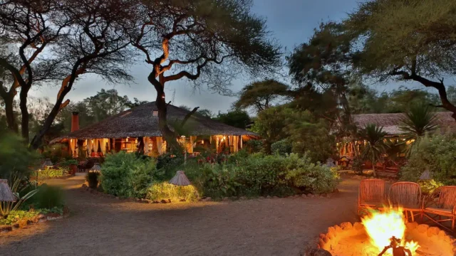 Kibo Safari Camp With Mara Triangle Safaris 4