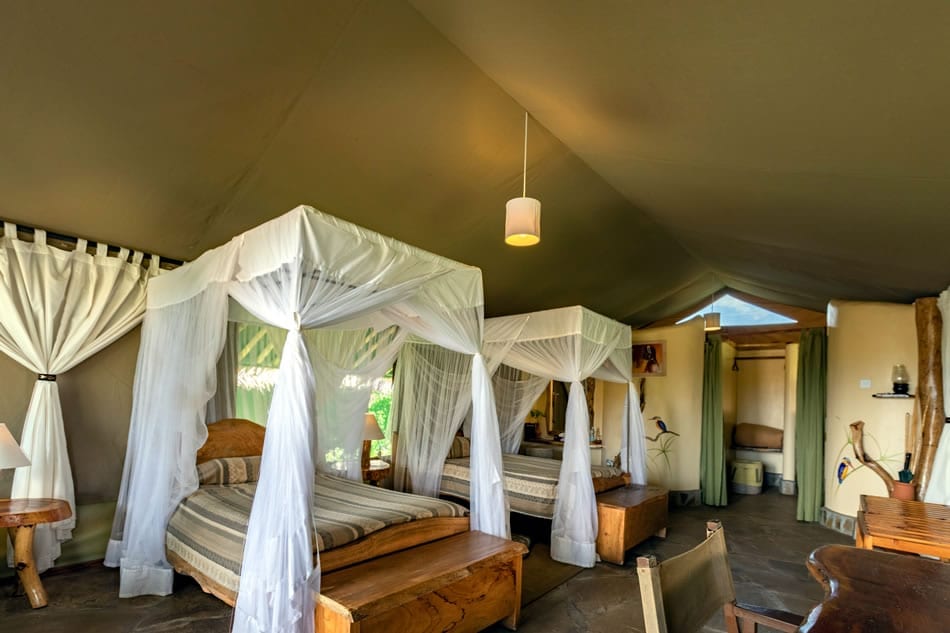Kibo Safari Camp With Mara Triangle Safaris 6