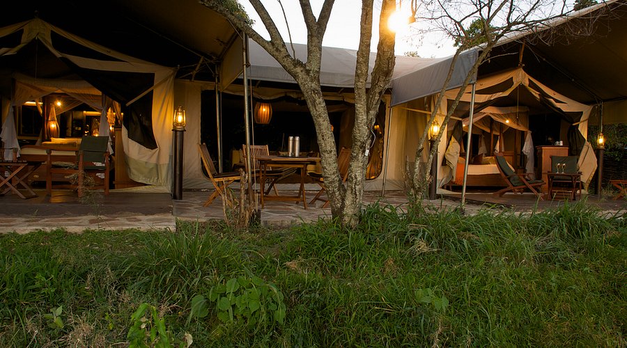 Mara Intrapids with Mara Triangle Safaris2