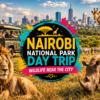 Nairobi National Park Day Trip Guide Wildlife Near the City (2026)-Mara Triangle Safaris