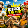 Nairobi Ostrich Farm Visit Family-Friendly Day Trip Guide (2026)-Mara Triangle Safaris