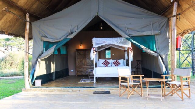 Oilepo Amboseli With Mara Triangle Safaris2
