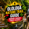Ololua Nature Trail Guide Nairobi's Hidden Forest Escape (2026)-Mara Triangle Safaris