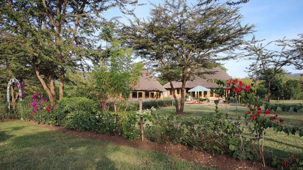 Osero Camp with Mara Triangle Safaris5