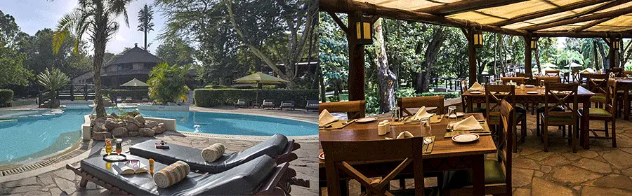 Sarova Mara Game Camp with Mara Triangle Safaris4