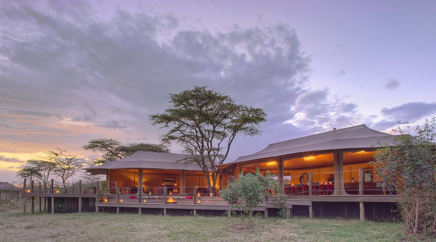 Saruni leopard hill with Mara Triangle Safaris3
