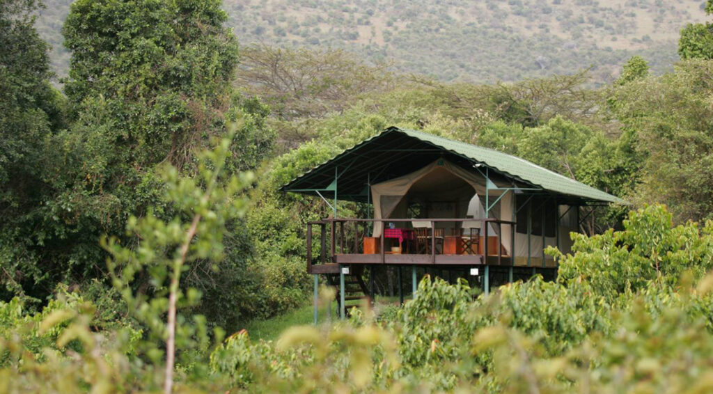 Sekenani Camp with Mara Triangle Safaris1
