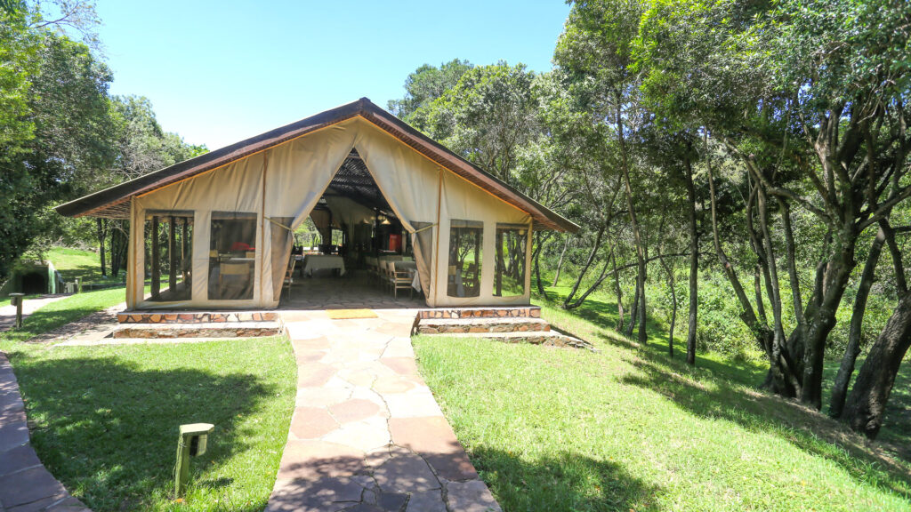 Sekenani Camp with Mara Triangle Safaris4