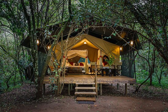Soroi mara camp with Mara Triangle Safaris