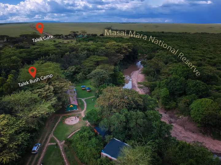 Talek Bush Camp with Mara Triangle Safaris5