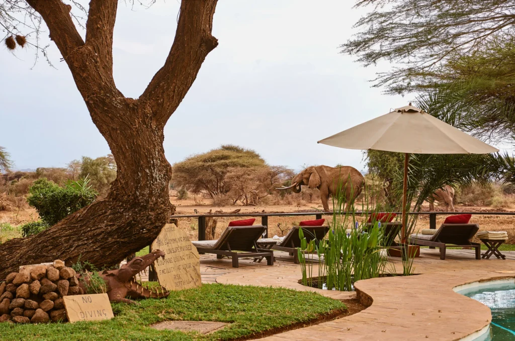 Tawi Lodge With Mara Triangle Safaris5