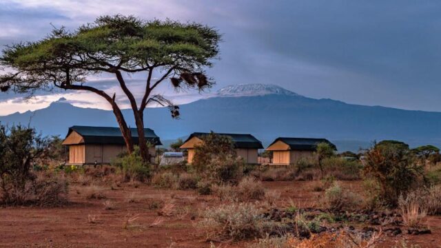 Tulia Amboseli Safari Camp With Mara Triangle Safaris5