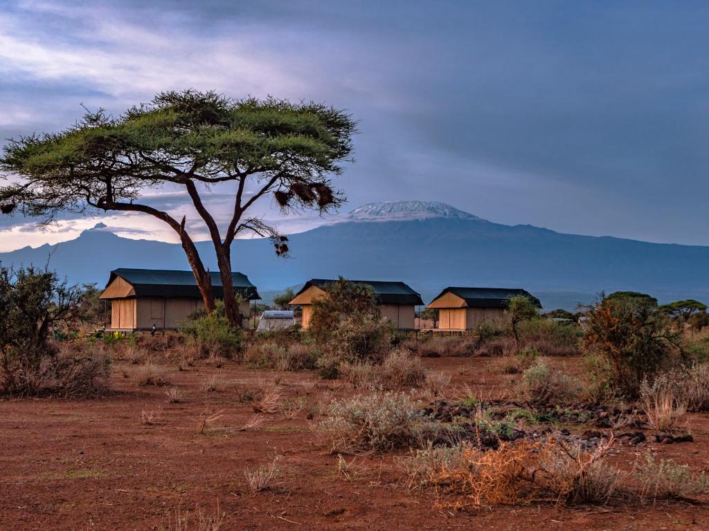 Tulia Amboseli Safari Camp With Mara Triangle Safaris5