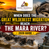 When Does the Great Wildebeest Migration Reach the Mara River (2026 Guide)