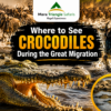 Where to See Crocodiles During the Great Migration in Kenya: Best Mara River Crossing Points, Safari Tips & Wildlife Guide