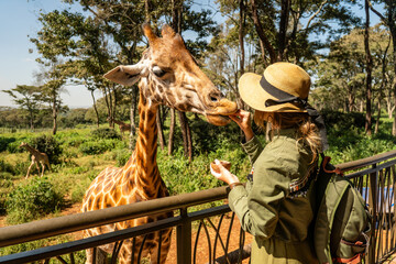 Nairobi Layover Tours Best Things to Do During a 12-Hour Stopover (2026)-Mara Triangle Safaris