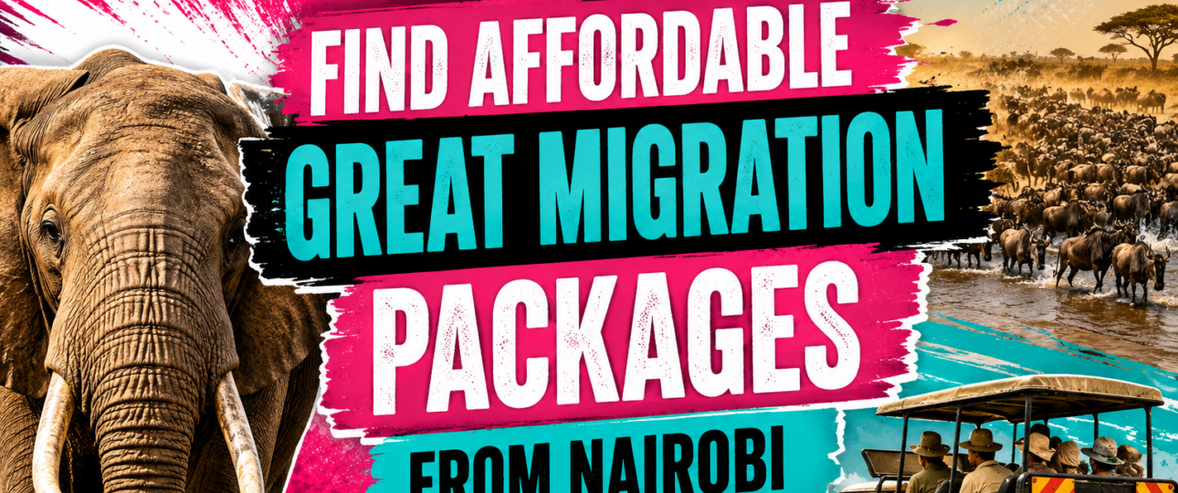 Affordable Great Migration Safari Packages from Nairobi Best Budget Mara Triangle Deals for 2026 Mara Triangle Safaris