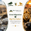 Great Migration vs Big Five Safari: Which Experience Is Right for You?