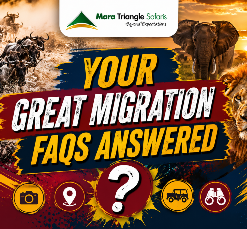 Great Migration FAQs 50 Questions Answered by Local Safari Experts-Mara Triangle Safaris