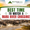 Best Time to Watch a Mara River Crossing Morning or Afternoon