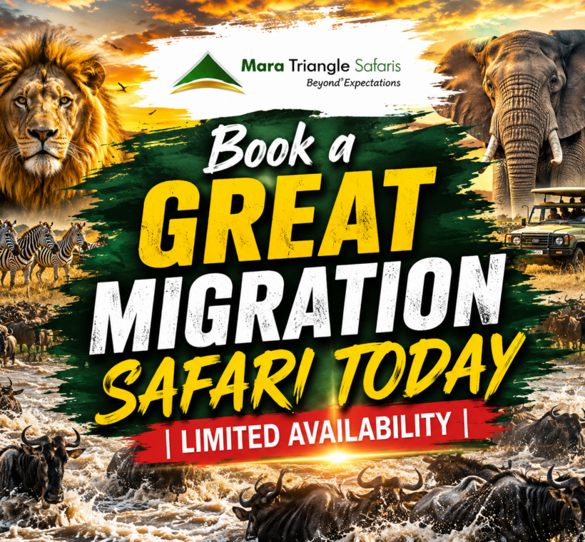 Book a Great Migration Safari Today Limited Availability (August–October 2026)