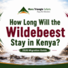 How Long Will the Wildebeest Stay in Kenya 2026 Migration Guide