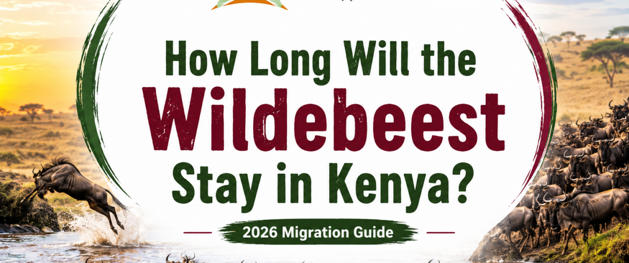 How Long Will the Wildebeest Stay in Kenya 2026 Migration Guide