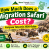 How Much Does a Migration Safari Cost Mara Triangle Great Migration 2026 Guide