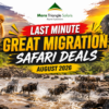Last Minute Great Migration Safari Deals (August 2026 Guide)