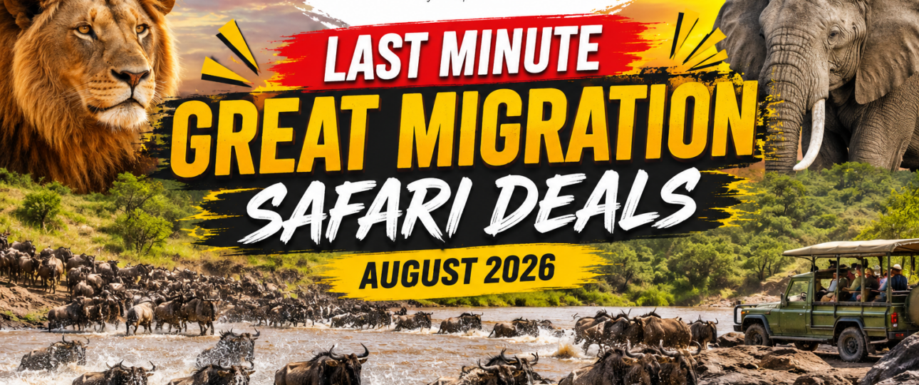 Last Minute Great Migration Safari Deals (August 2026 Guide)