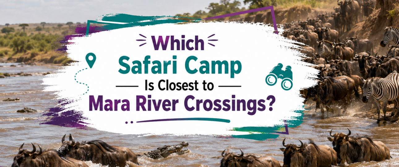 Which Safari Camp Is Closest to Mara River Crossings