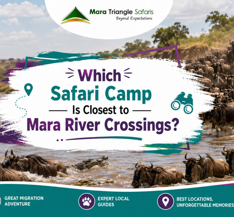 Which Safari Camp Is Closest to Mara River Crossings