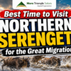 Best Time to Visit Northern Serengeti for the Great Migration Month-by-Month Guide