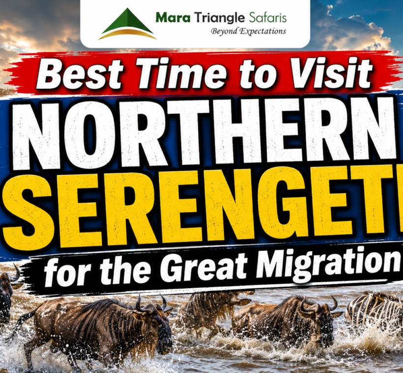 Best Time to Visit Northern Serengeti for the Great Migration Month-by-Month Guide